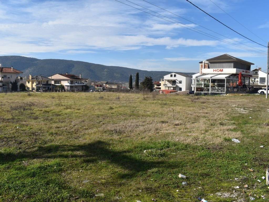 ΑΠΟΨΗ ΟΙΚΟΠΕΔΟΥ