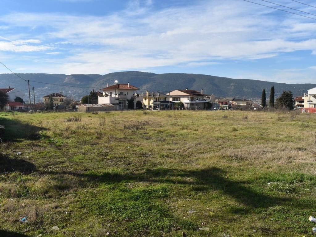 ΑΠΟΨΗ ΟΙΚΟΠΕΔΟΥ