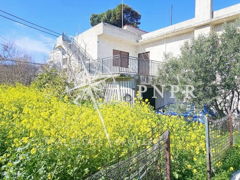 Εξωτερικοι χώροι