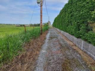 Αγροτικός δρόμος