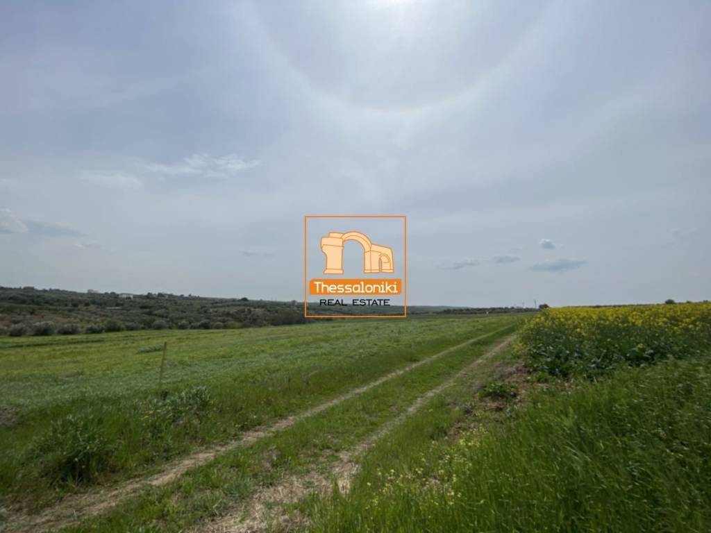 Μεσημέρι, Αγροτεμάχιο, 4.200 τ.μ.