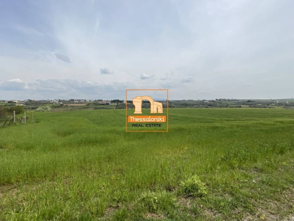 Μεσημέρι, Αγροτεμάχιο, 4.600 τ.μ.