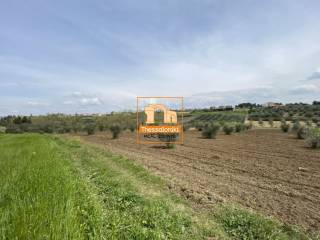 Μεσημέρι, Αγροτεμάχιο, 4.100 τ.μ.