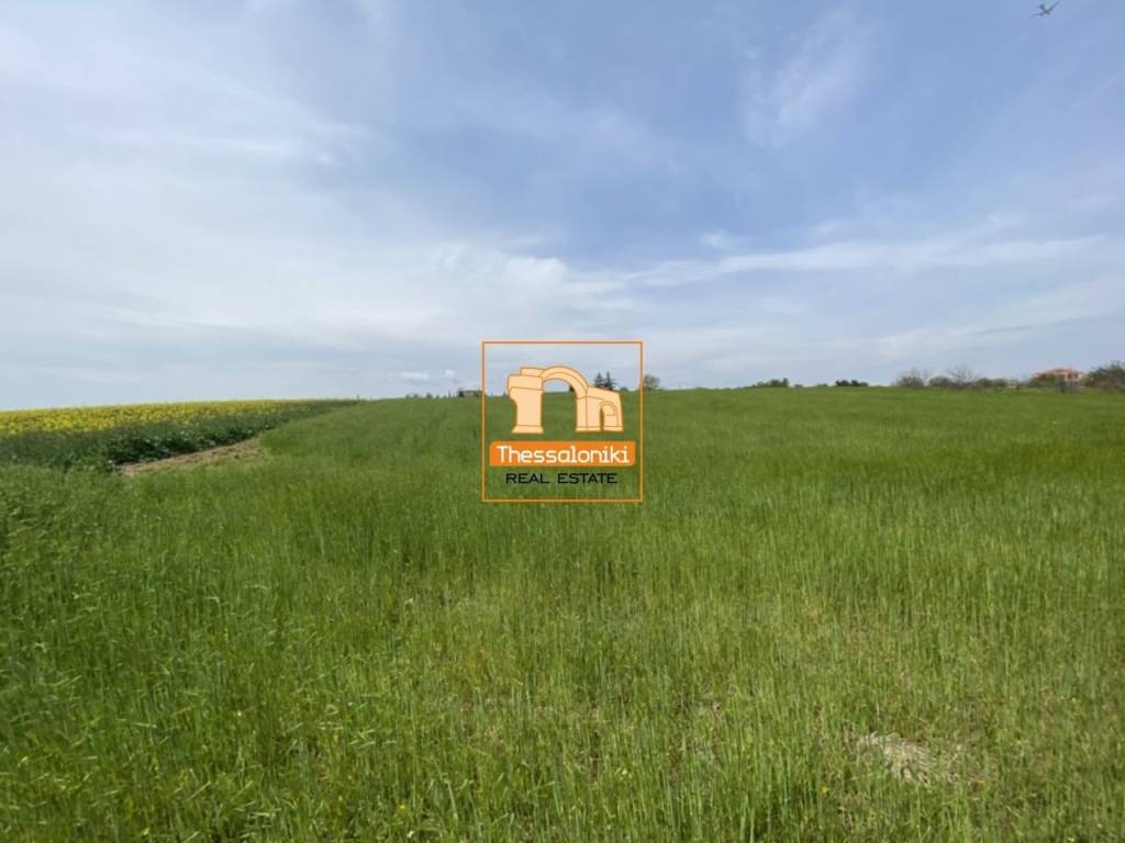 Μεσημέρι, Αγροτεμάχιο, 4.083 τ.μ.