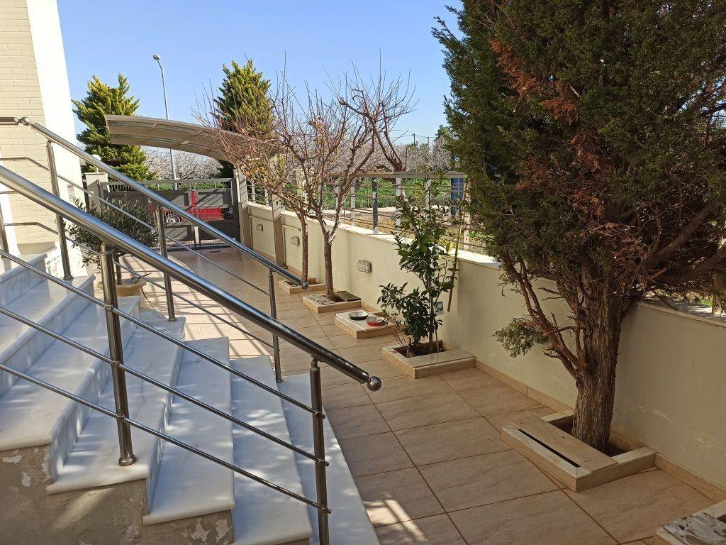 ΤΜΗΜΑ ΤΟΥ ΠΕΡΙΒΑΛΛΟΝΤΟΣ ΧΩΡΟΥ