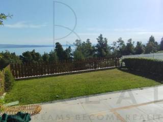 View from balcony and garden