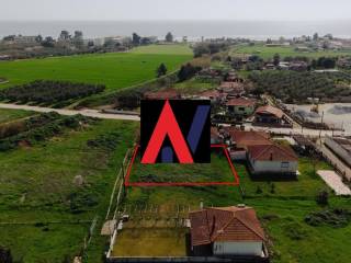 DJI_20250315142017_0201_D copy.jpg