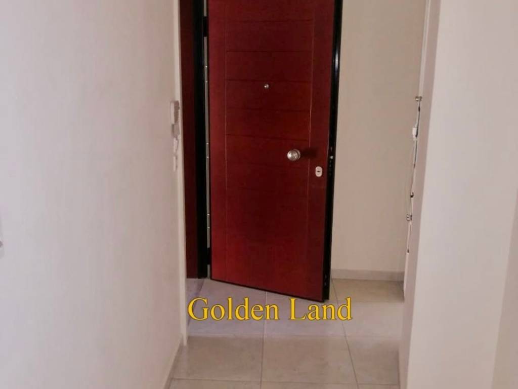 ΕΙΣΟΔΟΣ /  ΠΟΡΤΑ ΑΣΦΑΛΕΙΑΣ