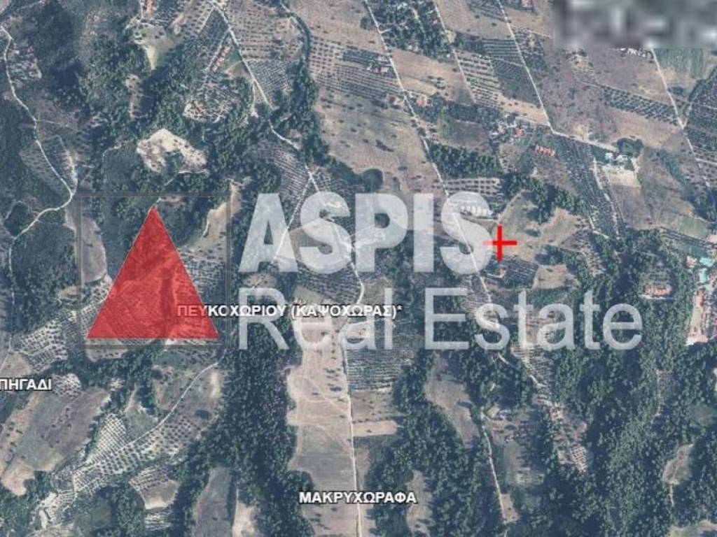 Εξωτερικοι χώροι