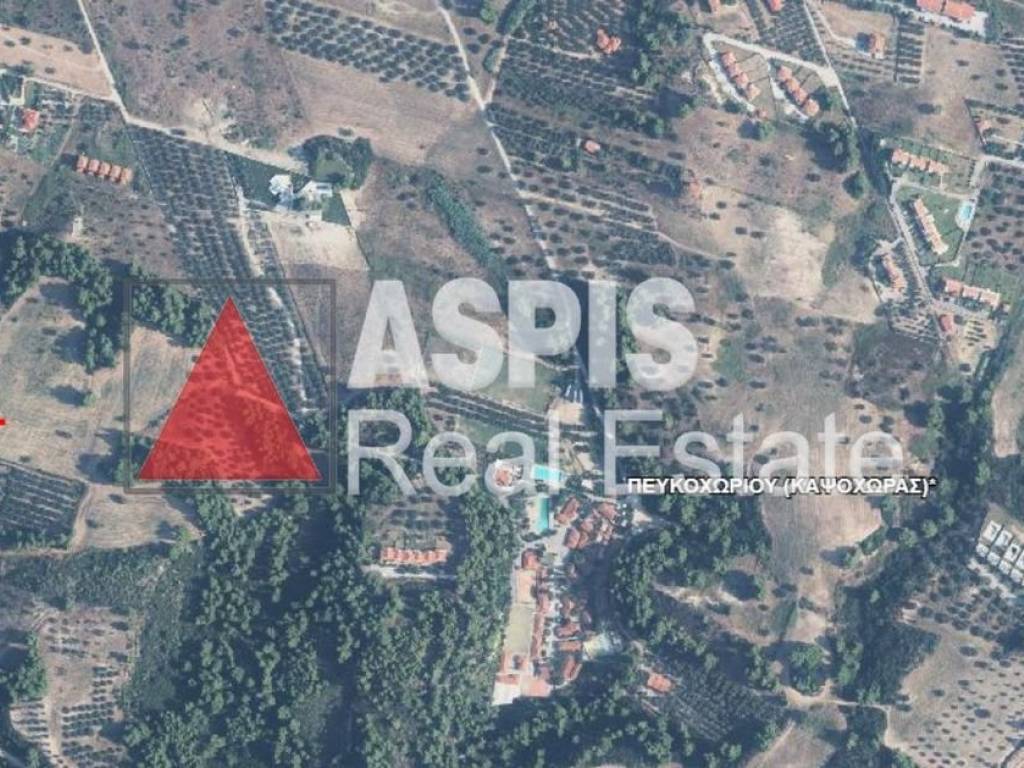 Εξωτερικοι χώροι