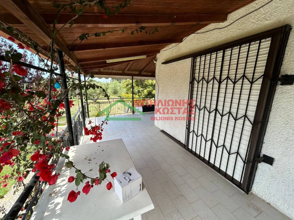 mpalkonoporta salonioy