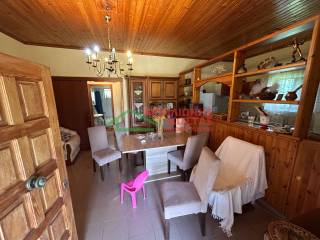 eniaios choros koyzina