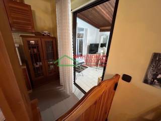 proektase me domatio