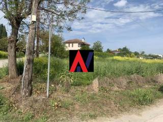 ΤΕΡΨΙΘΕΑ ΚΑΛΥΒΑΣ 2.jpg