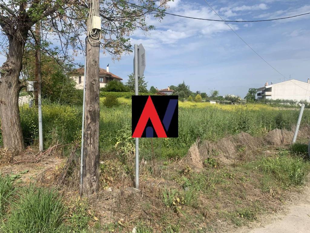 ΤΕΡΨΙΘΕΑ ΚΑΛΥΒΑΣ 5.jpg