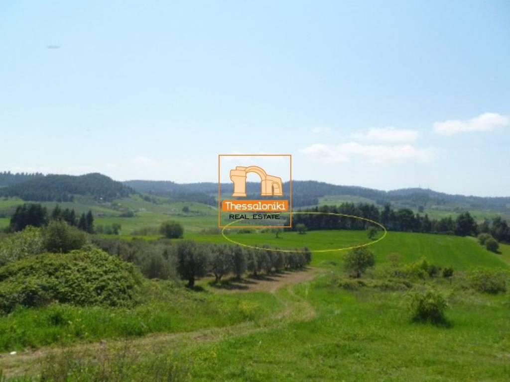 Καλλιθέα, Αγροτεμάχιο, 4.275 τ.μ.