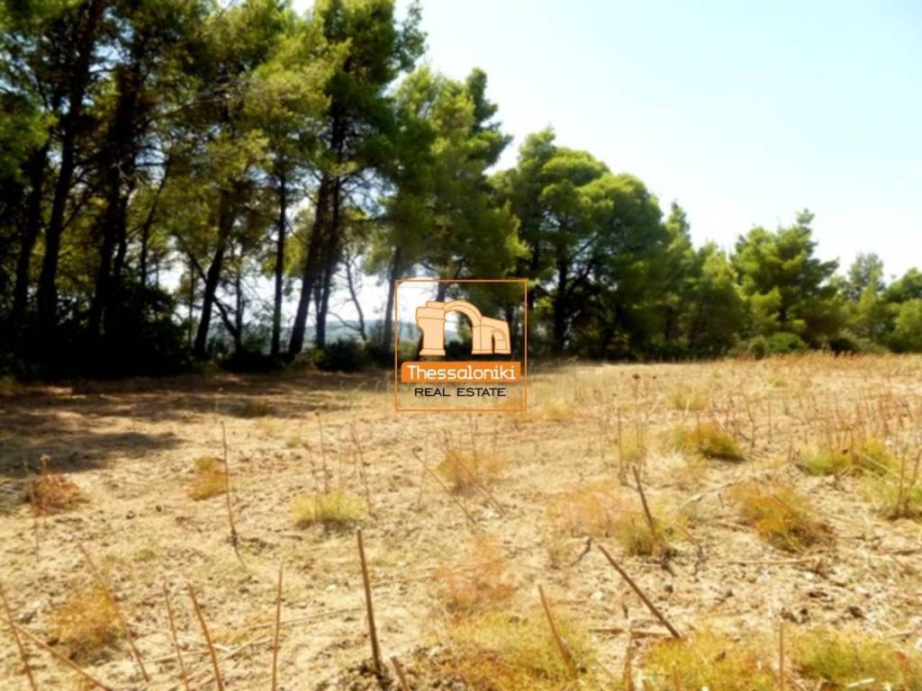 Καλλιθέα, Αγροτεμάχιο, 4.275 τ.μ.