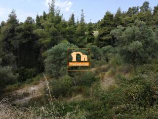 Φούρκα, Αγροτεμάχιο, 3.480 τ.μ.