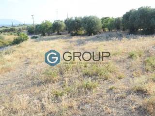 Αποψη χώρου