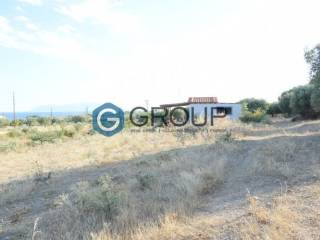 Αποψη χώρου