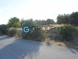 Αποψη χώρου