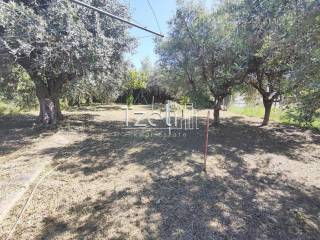 Εξωτερική άποψη χώρου