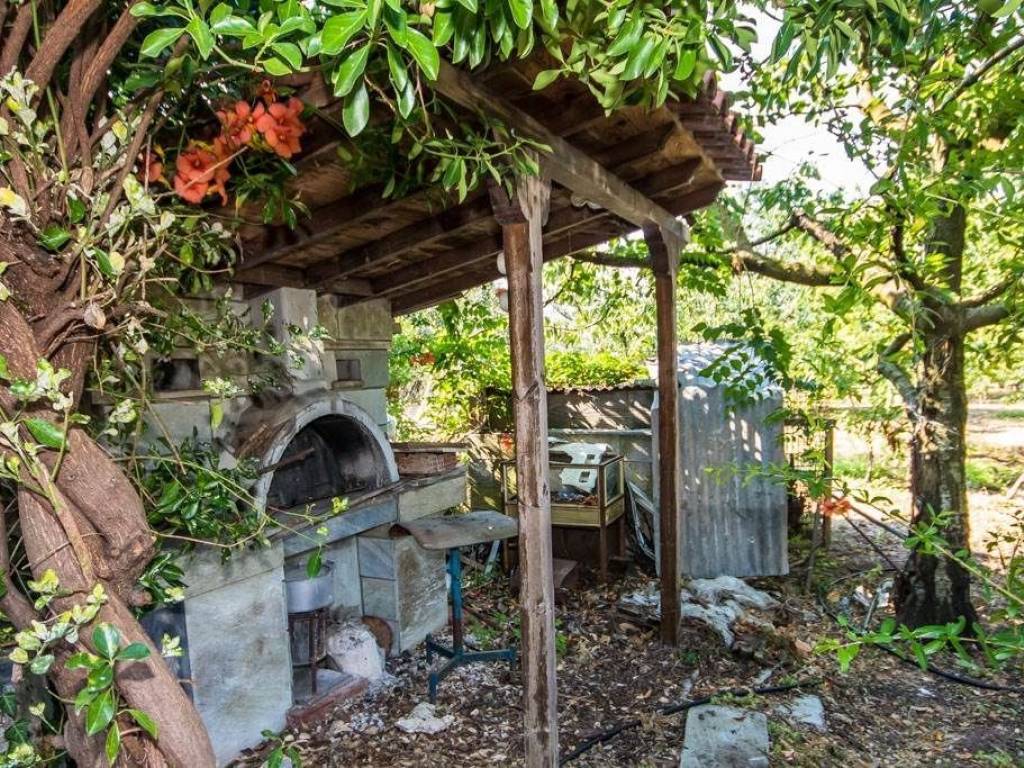 Αγροτεμάχιο | 8200τ.μ. | 129000 €