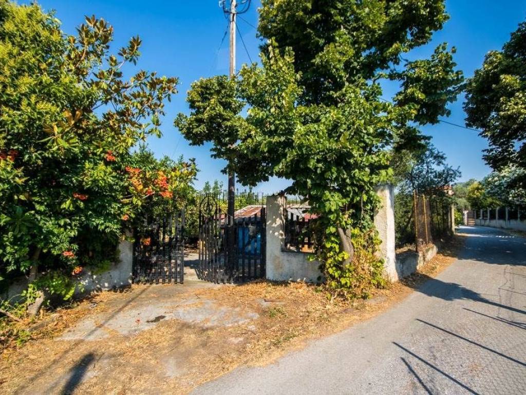 Αγροτεμάχιο | 8200τ.μ. | 129000 €