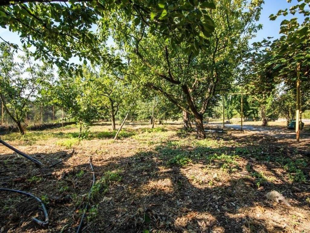 Αγροτεμάχιο | 8200τ.μ. | 129000 €