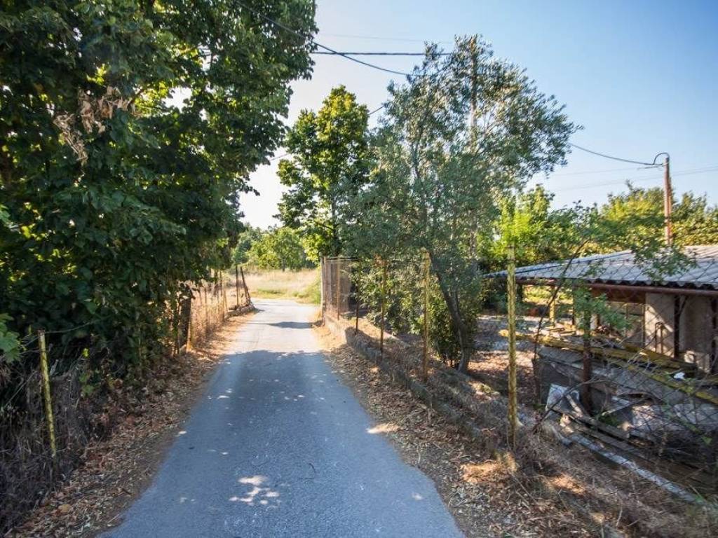 Αγροτεμάχιο | 8200τ.μ. | 129000 €