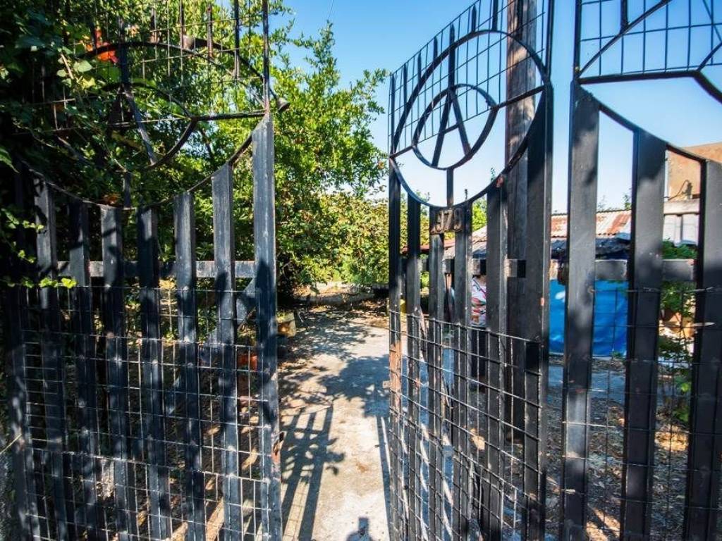 Αγροτεμάχιο | 8200τ.μ. | 129000 €