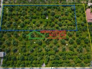 Μπλε γραμμή εκτος οικισμου