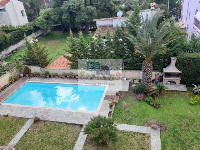 PANORAMIC VIEW OF THE SWIMMING POOL - GARDEN