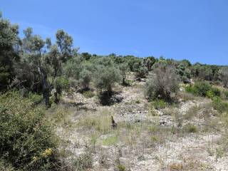 To agrotemachio entos