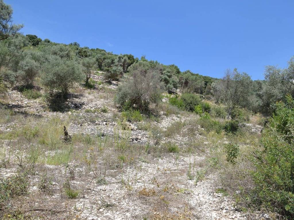 To agrotemachio entos