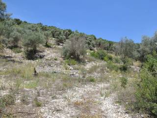 To agrotemachio entos