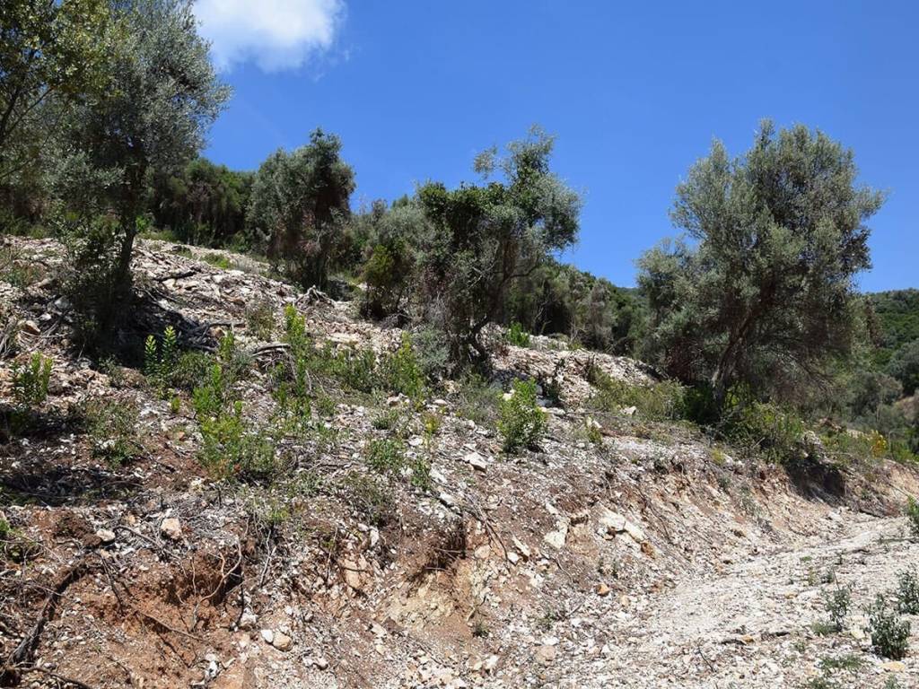 E prosbase sto agrotemachio