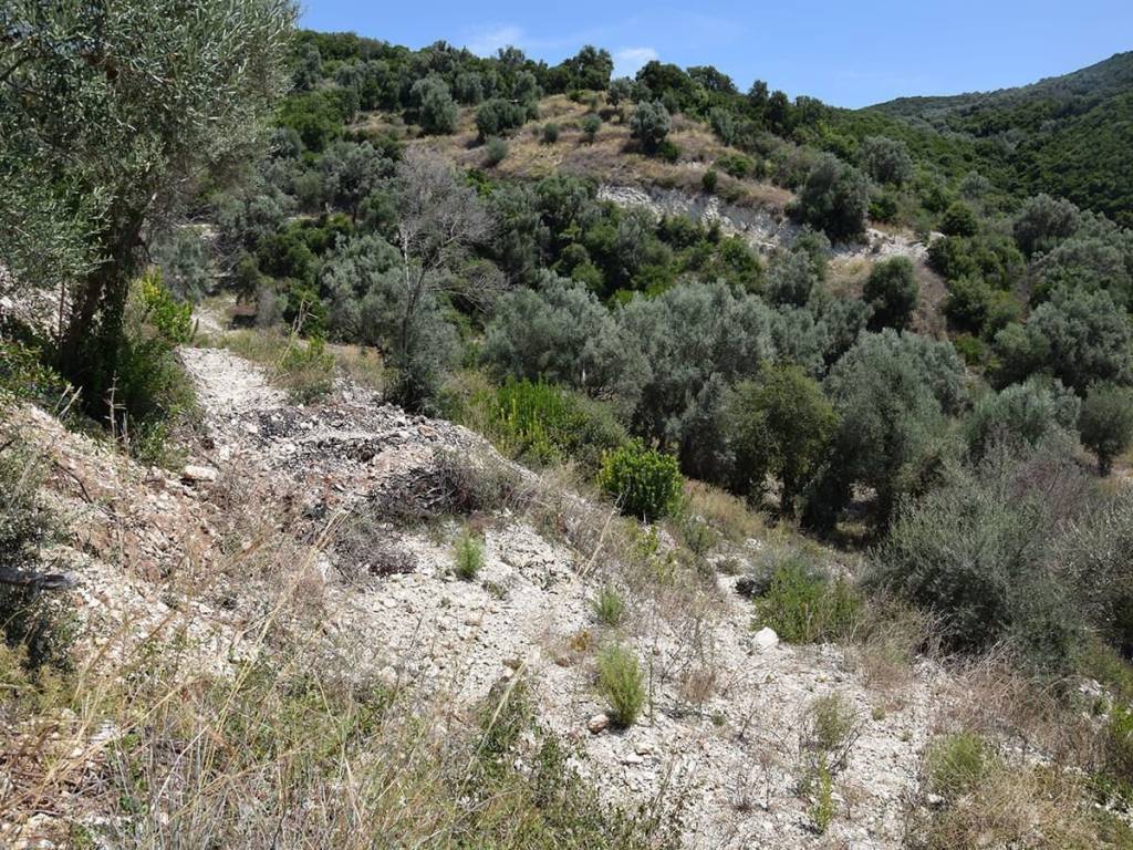 To agrotemachio entos