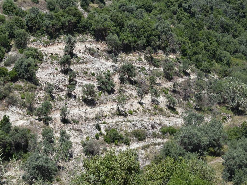 To agrotemachio apo psela