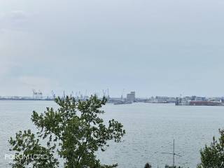 Forumland Real Estate, THea thalassa