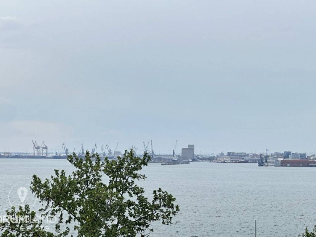 Forumland Real Estate, THea thalassa