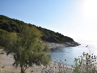 Το μοναδικό παραθαλάσσιο αγροτεμάχιο