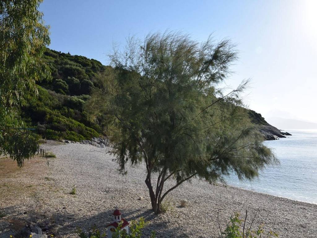 Το μοναδικό παραθαλάσσιο αγροτεμάχιο