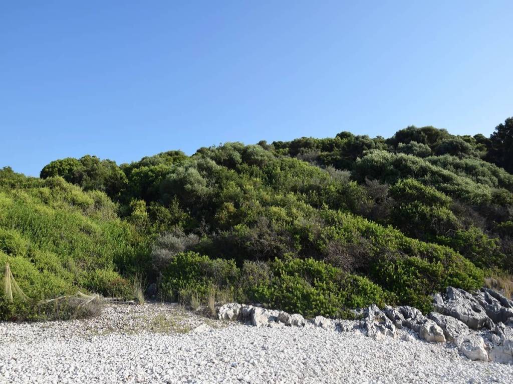 Το μοναδικό παραθαλάσσιο αγροτεμάχιο