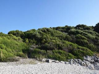 Το μοναδικό παραθαλάσσιο αγροτεμάχιο