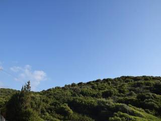 Το σπάνιο αγροτεμάχιο