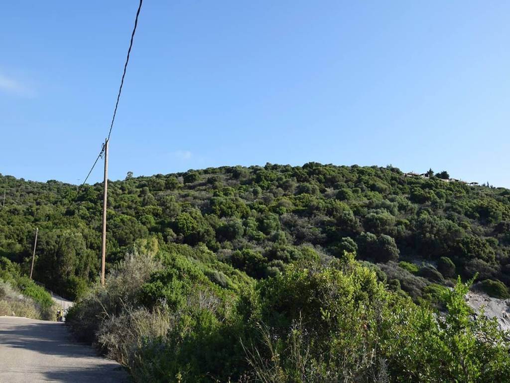 Το σπάνιο αγροτεμάχιο