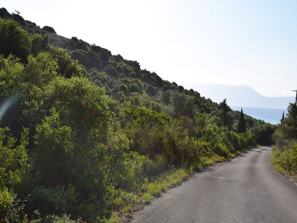 Το σπάνιο αγροτεμάχιο