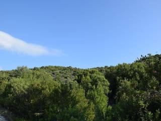 Το σπάνιο αγροτεμάχιο