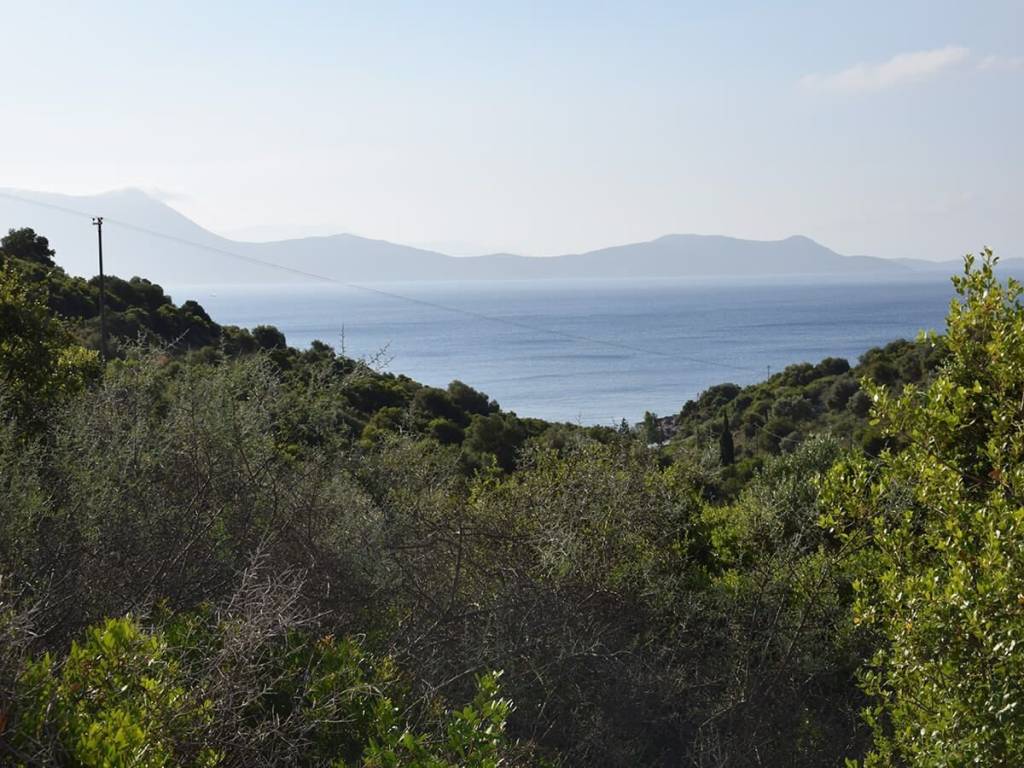 Το σπάνιο αγροτεμάχιο